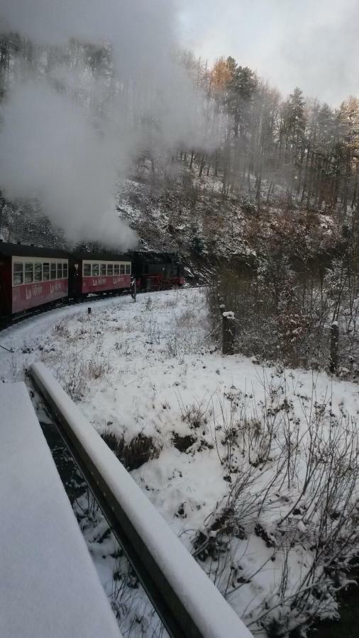 Hexenhaus Am Waldesrand Wernigerode