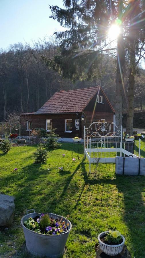 Hexenhaus Am Waldesrand